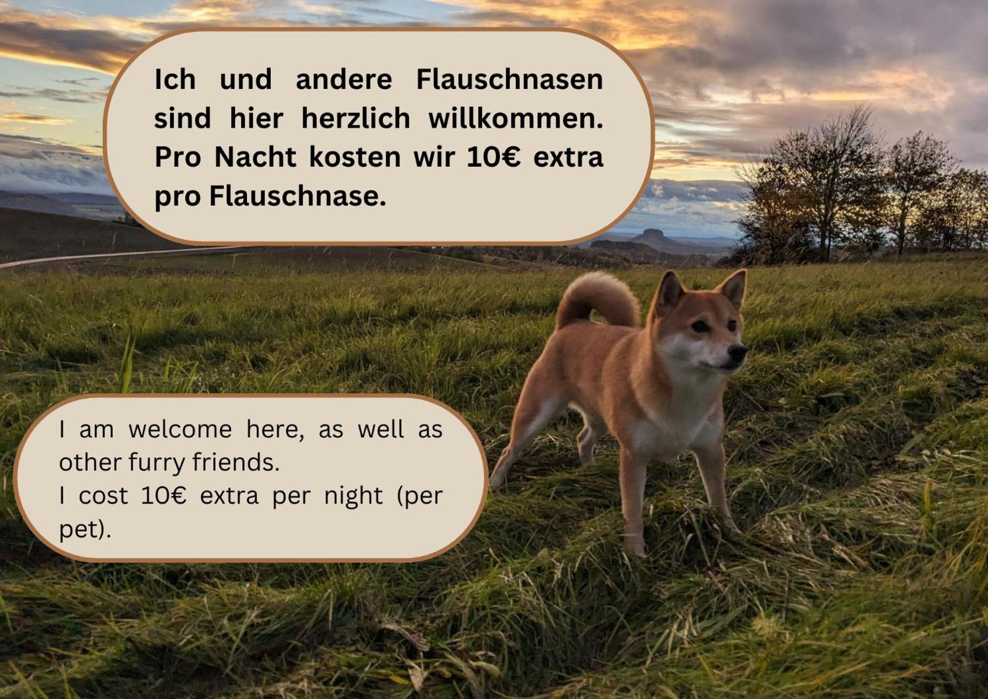 W2 - Urlaubsmagie - Im Herzen Des Elbsandsteingebirges Sebnitz Exteriér fotografie
